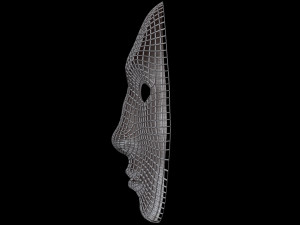 Mask Half Wired Model 3D