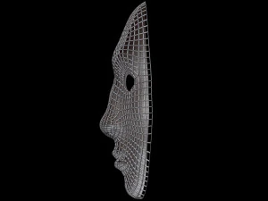 Mask Half Wired 3D Model