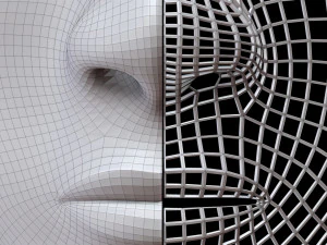 Mask Half Wired 3D Model