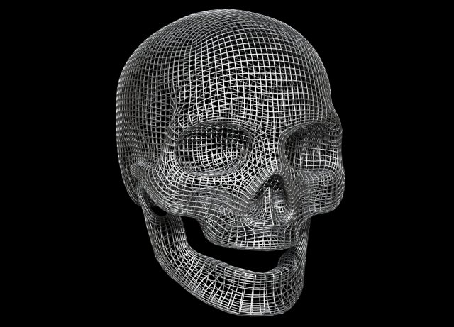 Skull Wire 3D 모델 .c4d .max .obj .3ds .fbx .stl .blend 