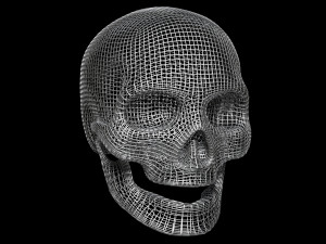 Skull Wire 3Dモデル