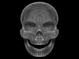 Skull Wire 3D 모델