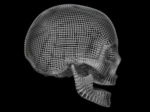 Skull Wire 3D 모델