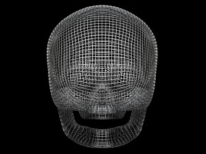 Skull Wire 3D 모델