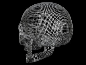 Skull Wire 3D 모델