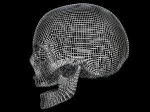 Skull Wire 3D 모델