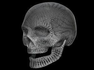 Skull Wire 3D 모델