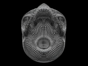 Skull Wire 3D 모델