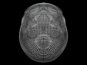 Skull Wire 3D 모델