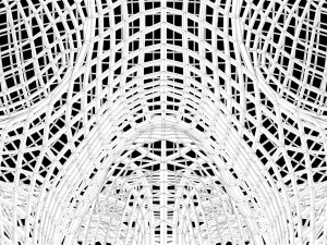 Skull Wire 3D 모델