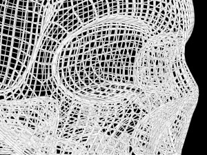 Skull Wire 3D 모델