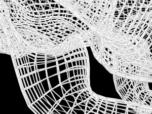 Skull Wire 3D 모델