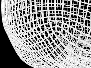 Skull Wire 3D 모델