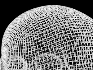 Skull Wire 3D 모델