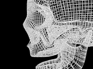 Skull Wire 3D 모델