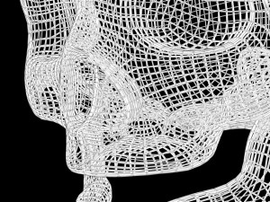 Skull Wire 3D 모델