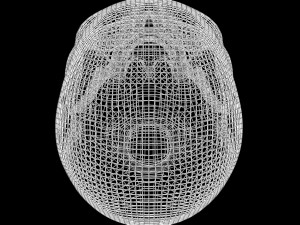 Skull Wire 3D 모델