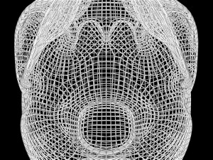 Skull Wire 3D 모델