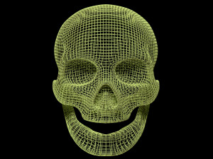 Skull Wire 3D 모델