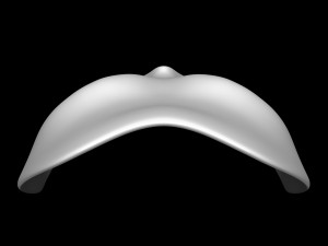 Skull Mask 3D 模型