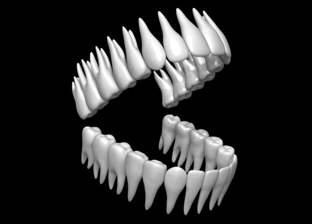 Teeth 3D 모델 .c4d .max .obj .3ds .fbx .stl .blend 