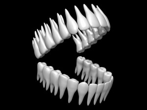 Teeth 3D Model