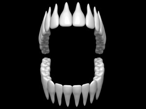 Teeth 3D 모델