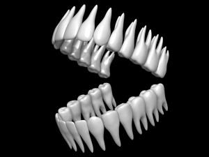 Teeth 3D 모델