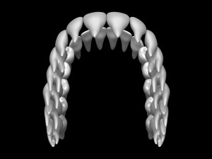 Teeth 3D 모델