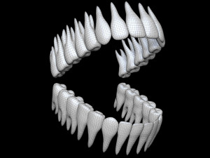 Teeth 3D 모델