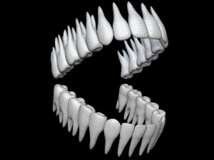 Teeth 3D Model