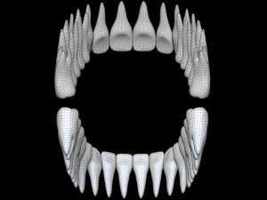 Teeth 3D 모델