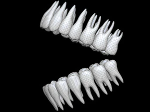 Teeth 3D Model
