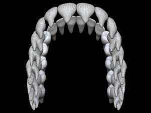 Teeth 3D 모델