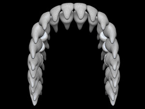 Teeth 3D 모델