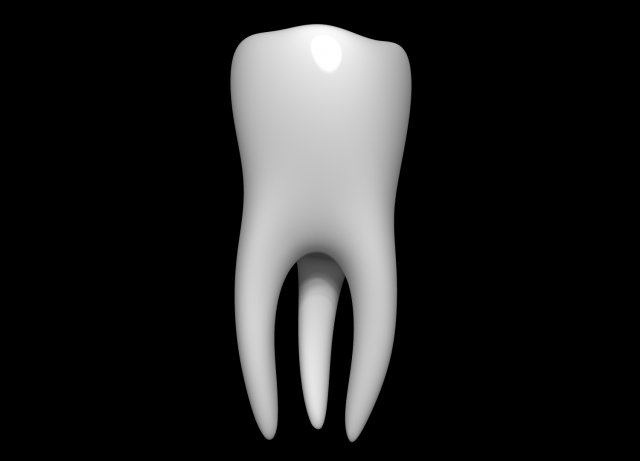 Tooth 3D 모델 .c4d .max .obj .3ds .fbx .stl .blend 