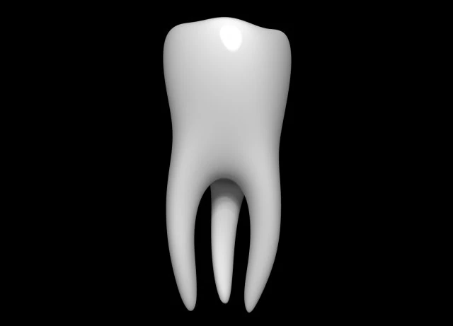 Dente Modello 3D .c4d .max .obj .3ds .fbx .stl .blend 