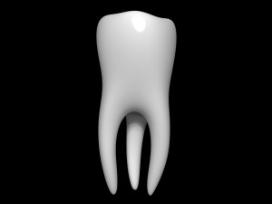 Tooth 3D Model