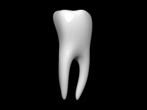 Dente Modello 3D