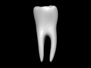 Tooth 3D 모델