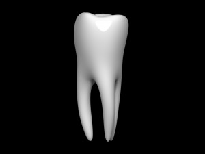 Tooth 3D 모델
