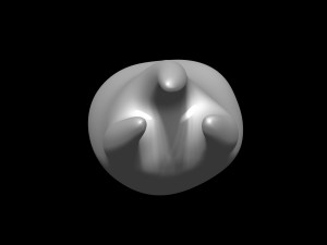 Tooth 3D 모델