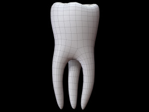 Tooth 3D 모델
