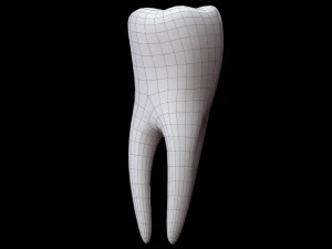 Dente Modello 3D