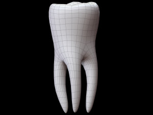 Tooth 3D 모델