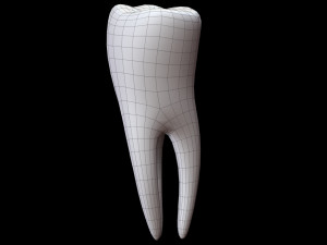 Tooth 3D 모델