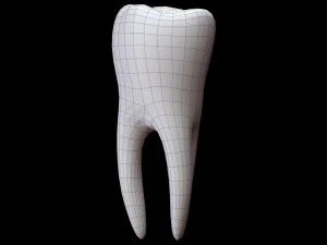 Dente Modello 3D