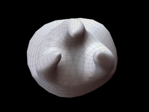 Tooth 3D 모델