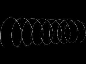 Barbed Wire 3D Model