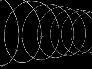 Barbed Wire 3D Model